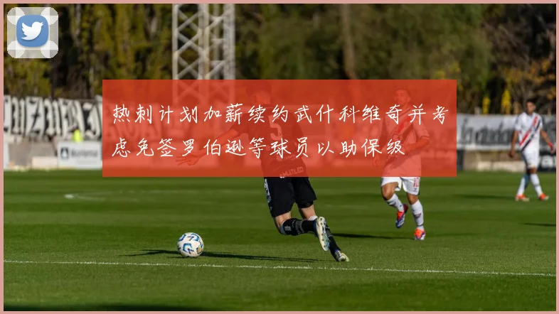 热刺计划加薪续约武什科维奇并考虑免签罗伯逊等球员以助保级